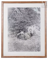 Xavier DE PORET (1894-1975)-Trois chamois couchés sous un arbre-img1