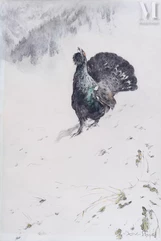 Xavier DE PORET (1894-1975)-Grand tétras paradant dans la neige-img1